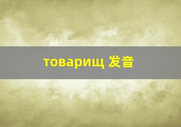 товарищ 发音